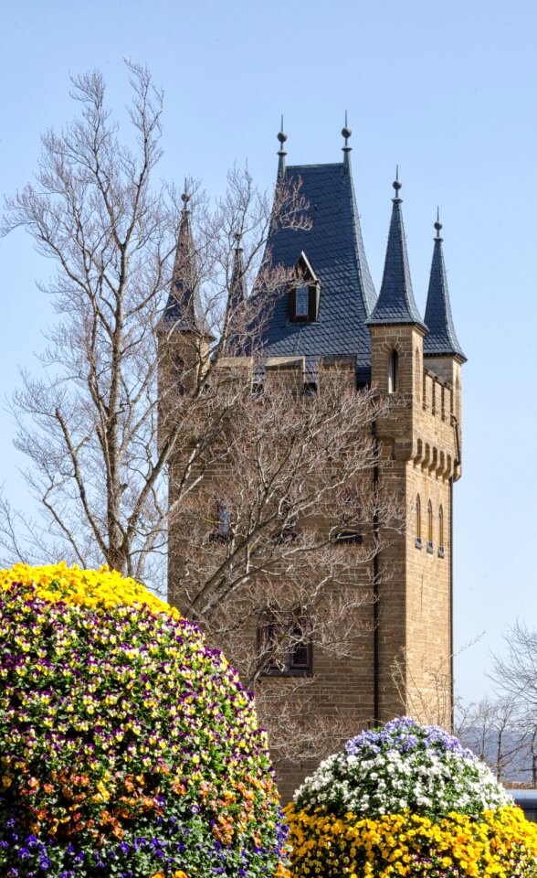 Travel castle hohenzollern