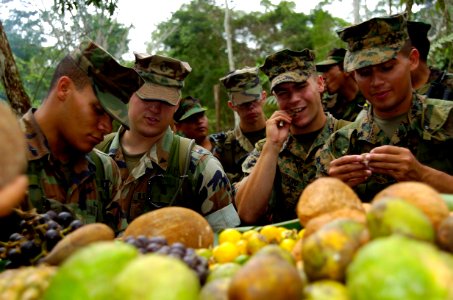 US Navy 040626-N-1464F-006 Peruvian Marines teaches U.S. and Latin American Marines jungle survival techniques in the Amazon Jungle photo