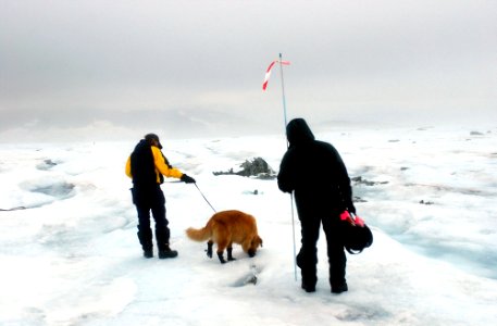 US Navy 040807-N-0331L-002 Rudy Hutchinson and Susan Frank are led by cadaver dog, Tucker during the recovery of a Navy P-2V Neptune aircraft that crashed over Greenland in 1962