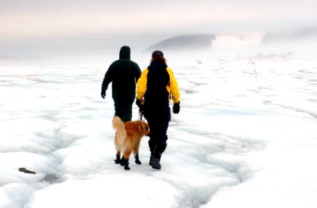 US Navy 040807-N-0331L-001 Rudy Hutchinson and Susan Frank are led by cadaver dog, Tucker during the recovery of a Navy P-2V Neptune aircraft that crashed over Greenland in 1962