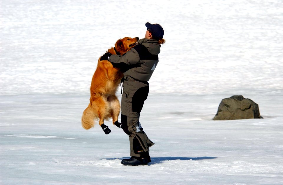 US Navy 040809-N-0331L-008 Susan Frank takes a moment to relax while playing with cadaver dog, Tucker during the recovery of a Navy P-2V Neptune aircraft that crashed over Greenland in 1962