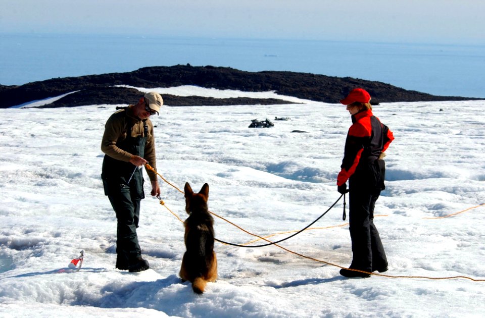 US Navy 040808-N-0331L-005 Rudy Hutchinson and Betty Ski are led by cadaver dog, Riccor during the recovery of a Navy P-2V Neptune aircraft that crashed over Greenland in 1962