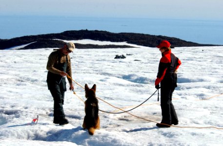 US Navy 040808-N-0331L-005 Rudy Hutchinson and Betty Ski are led by cadaver dog, Riccor during the recovery of a Navy P-2V Neptune aircraft that crashed over Greenland in 1962