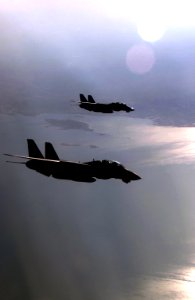 US Navy 040814-F-6740T-163 A pair F-14B Tomcats fly in loose formation over Iraq