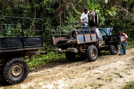 USAID Measuring Impact Conservation Enterprise Retrospective (Guatemala; Rainforest Alliance) (39407056725)