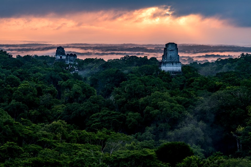 USAID Measuring Impact Conservation Enterprise Retrospective (Guatemala; Rainforest Alliance) (26431876828)