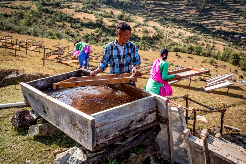 USAID Measuring Impact Conservation Enterprise Retrospective (Nepal; Asian Network for Sustainable Agriculture and Bioresrouces) (25422990217)