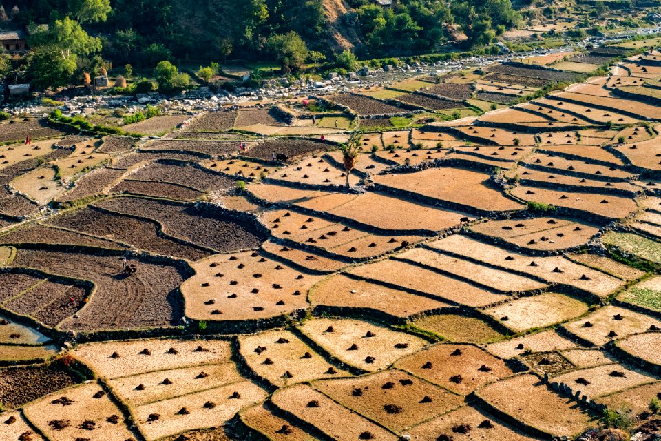 USAID Measuring Impact Conservation Enterprise Retrospective (Nepal; Asian Network for Sustainable Agriculture and Bioresrouces) (39396628195)