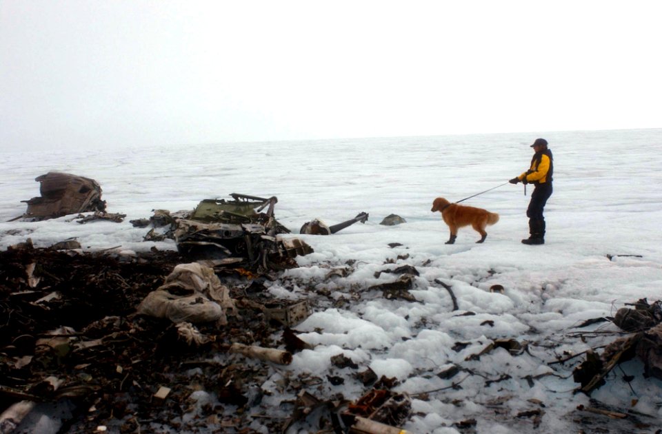 US Navy 040807-N-0331L-004 A volunteer from Bucks County Search and Rescue, and cadaver dog Tucker, search the wreckage of a Navy P-2V Neptune aircraft that crashed over Greenland in 1962