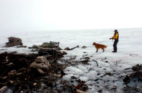 US Navy 040807-N-0331L-004 A volunteer from Bucks County Search and Rescue, and cadaver dog Tucker, search the wreckage of a Navy P-2V Neptune aircraft that crashed over Greenland in 1962