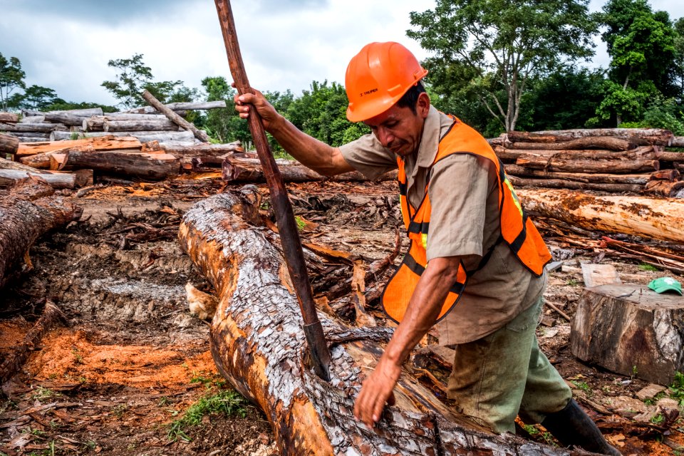 USAID Measuring Impact Conservation Enterprise Retrospective (Guatemala; Rainforest Alliance) (39407128675)