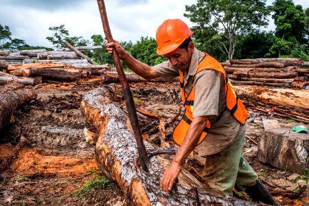 USAID Measuring Impact Conservation Enterprise Retrospective (Guatemala; Rainforest Alliance) (39407128675)