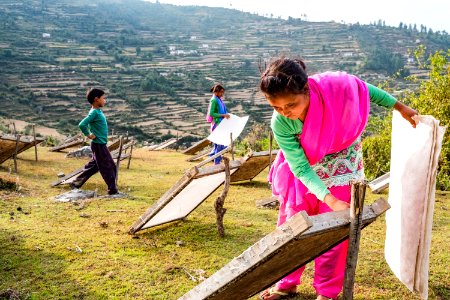 USAID Measuring Impact Conservation Enterprise Retrospective (Nepal; Asian Network for Sustainable Agriculture and Bioresrouces) (40294277951)