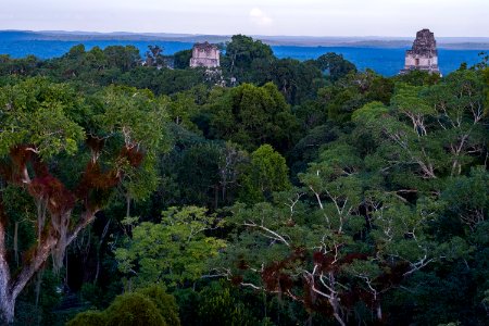 USAID Measuring Impact Conservation Enterprise Retrospective (Guatemala; Rainforest Alliance) (38494918520)