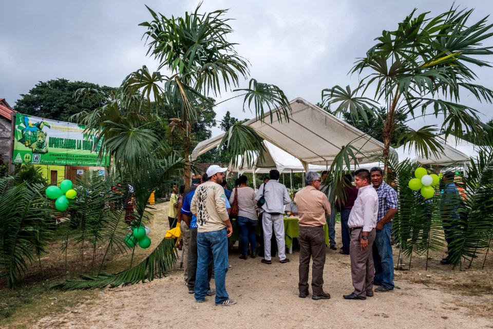 USAID Measuring Impact Conservation Enterprise Retrospective (Guatemala; Rainforest Alliance) (40304506201)