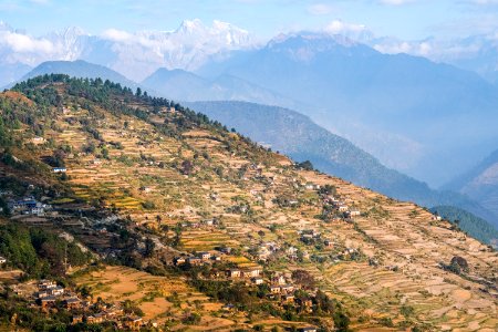 USAID Measuring Impact Conservation Enterprise Retrospective (Nepal; Asian Network for Sustainable Agriculture and Bioresrouces) (25423101067)