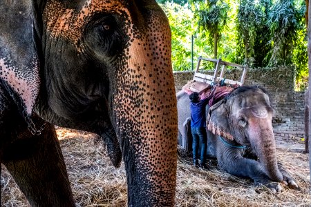USAID Measuring Impact Conservation Enterprise Retrospective (Nepal; National Trust for Nature Conservation) (26428607718)