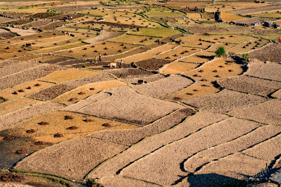 USAID Measuring Impact Conservation Enterprise Retrospective (Nepal; Asian Network for Sustainable Agriculture and Bioresrouces) (26421669638)