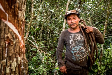 USAID Measuring Impact Conservation Enterprise Retrospective (Guatemala; Rainforest Alliance) (39592668374)