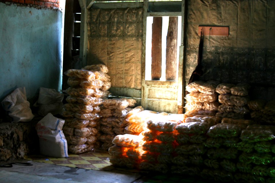 USAID Helps Combat Climate Change in Kendari (13940979647)