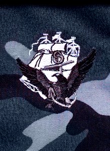 US Navy 041026-N-0000X-002 The new Navy insignia, Anchor, Constitution and Eagle (ACE), will be worn on the left top pocket of the new woodland-pattern test uniform