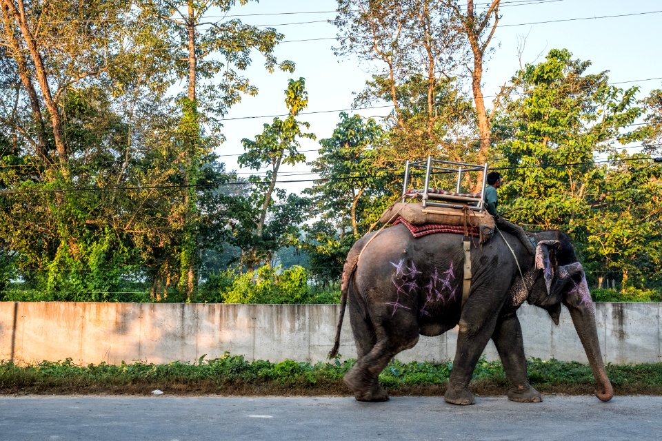 USAID Measuring Impact Conservation Enterprise Retrospective (Nepal; National Trust for Nature Conservation) (39404122965)