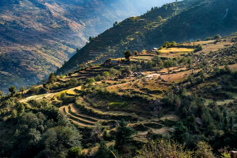 USAID Measuring Impact Conservation Enterprise Retrospective (Nepal; Asian Network for Sustainable Agriculture and Bioresrouces) (40294362261)