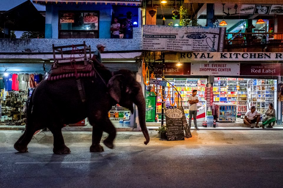 USAID Measuring Impact Conservation Enterprise Retrospective (Nepal; National Trust for Nature Conservation) (40256663982)
