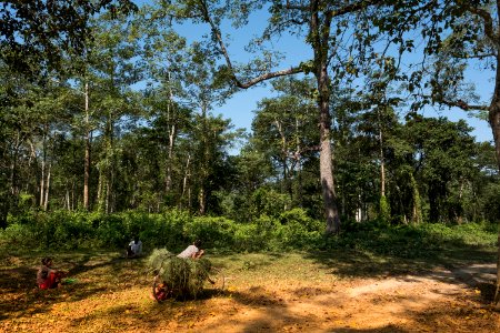 USAID Measuring Impact Conservation Enterprise Retrospective (Nepal; National Trust for Nature Conservation) (25430081107)