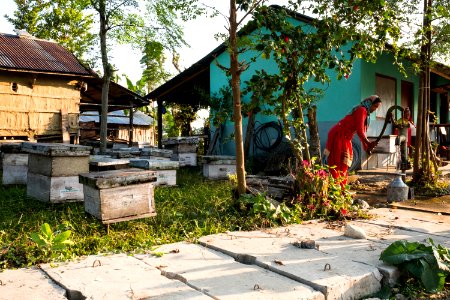USAID Measuring Impact Conservation Enterprise Retrospective (Nepal; National Trust for Nature Conservation) (39403827855)
