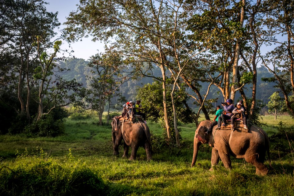 USAID Measuring Impact Conservation Enterprise Retrospective (Nepal; National Trust for Nature Conservation) (39589368014)