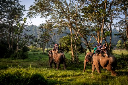 USAID Measuring Impact Conservation Enterprise Retrospective (Nepal; National Trust for Nature Conservation) (39589368014)