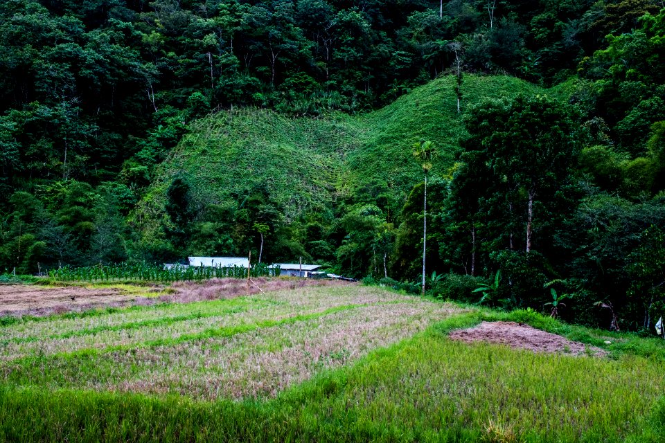USAID Measuring Impact Conservation Enterprise Retrospective (Philippines; Kalahan Educational Foundation) (39394920645)