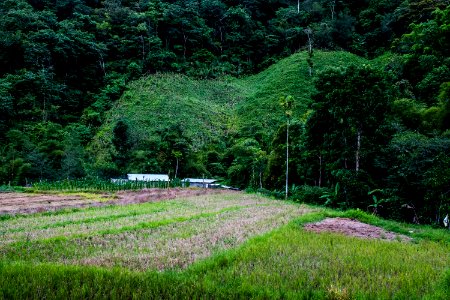 USAID Measuring Impact Conservation Enterprise Retrospective (Philippines; Kalahan Educational Foundation) (39394920645)