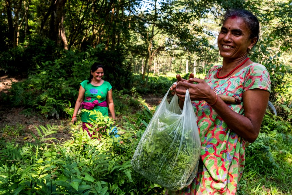 USAID Measuring Impact Conservation Enterprise Retrospective (Nepal; National Trust for Nature Conservation) (40255733132)