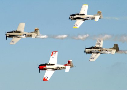 US Navy 040926-N-1407C-002 Aerial team Trojan Horsemen performs