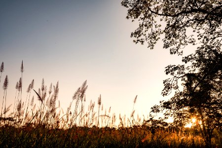 USAID Measuring Impact Conservation Enterprise Retrospective (Nepal; National Trust for Nature Conservation) (40301500851)
