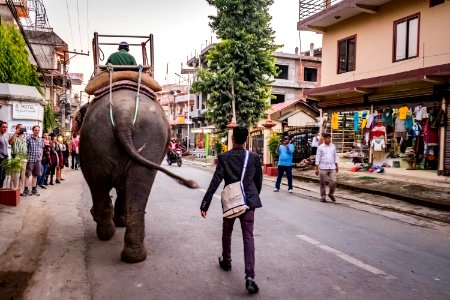 USAID Measuring Impact Conservation Enterprise Retrospective (Nepal; National Trust for Nature Conservation) (40301339051)