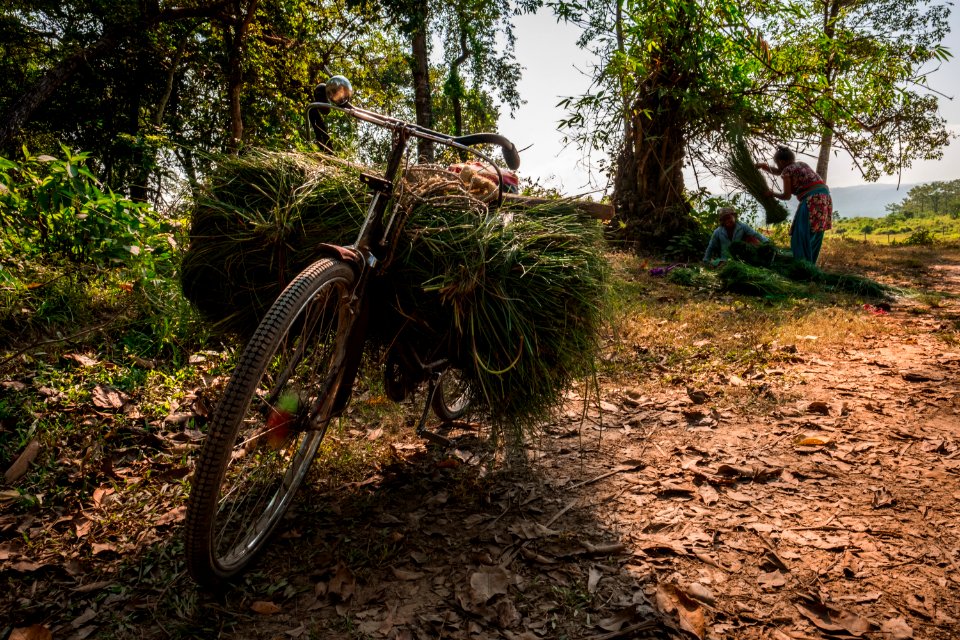 USAID Measuring Impact Conservation Enterprise Retrospective (Nepal; National Trust for Nature Conservation) (39589603774)