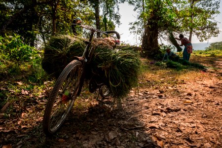 USAID Measuring Impact Conservation Enterprise Retrospective (Nepal; National Trust for Nature Conservation) (39589603774)