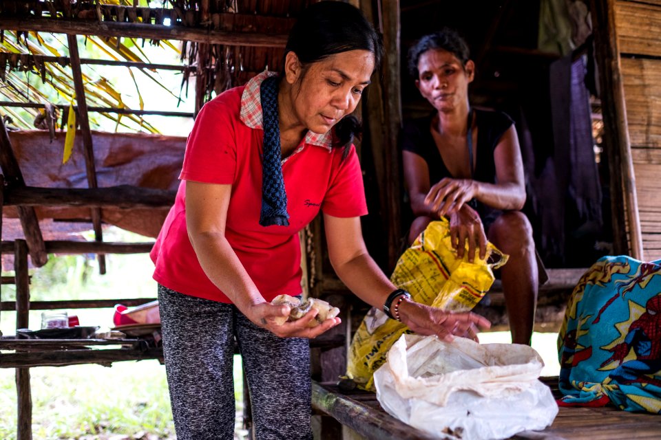 USAID Measuring Impact Conservation Enterprise Retrospective (Philippines; Nagkakaisang Tribu ng Palawan) (26420859908)