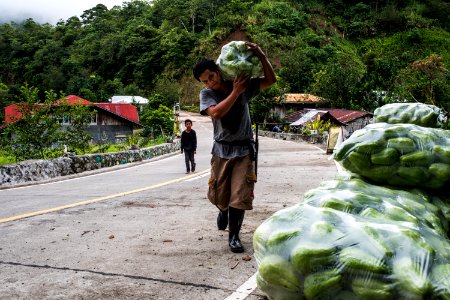 USAID Measuring Impact Conservation Enterprise Retrospective (Philippines; Kalahan Educational Foundation) (39580394884)