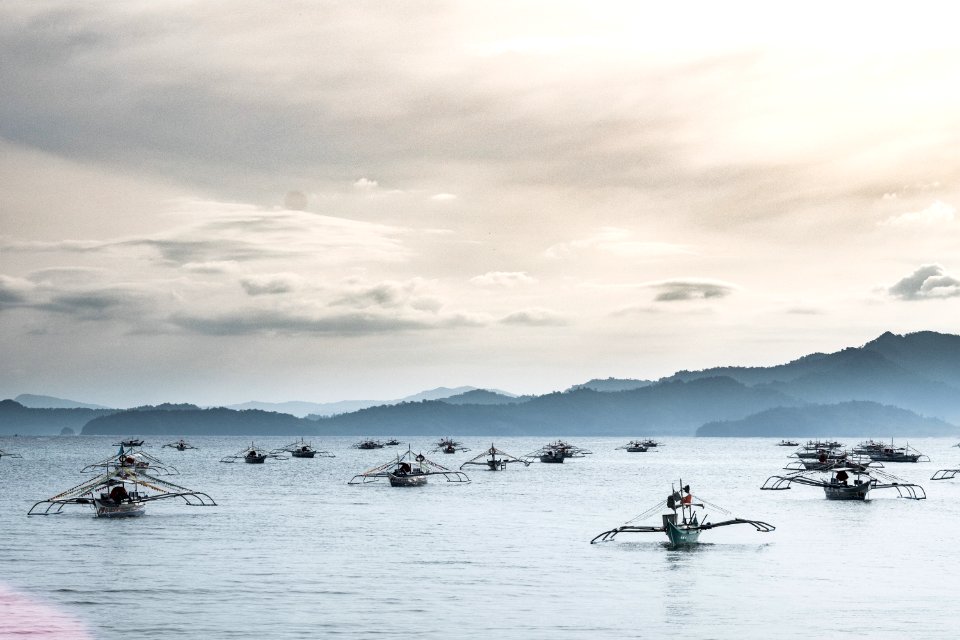 USAID Measuring Impact Conservation Enterprise Retrospective (Philippines; Nagkakaisang Tribu ng Palawan) (38483447700)