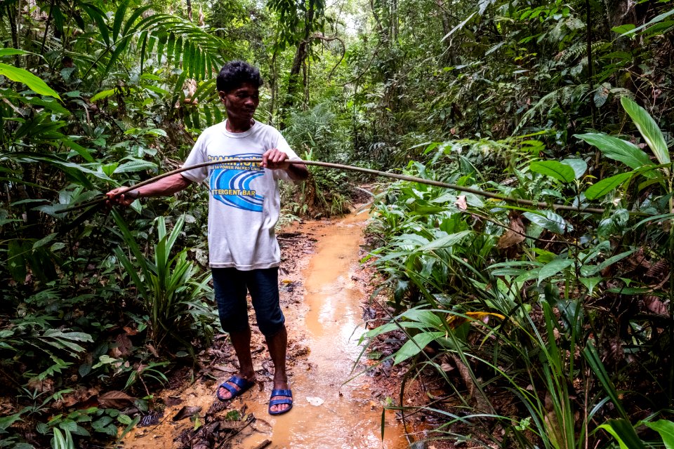 USAID Measuring Impact Conservation Enterprise Retrospective (Philippines; Nagkakaisang Tribu ng Palawan) (39395902835)