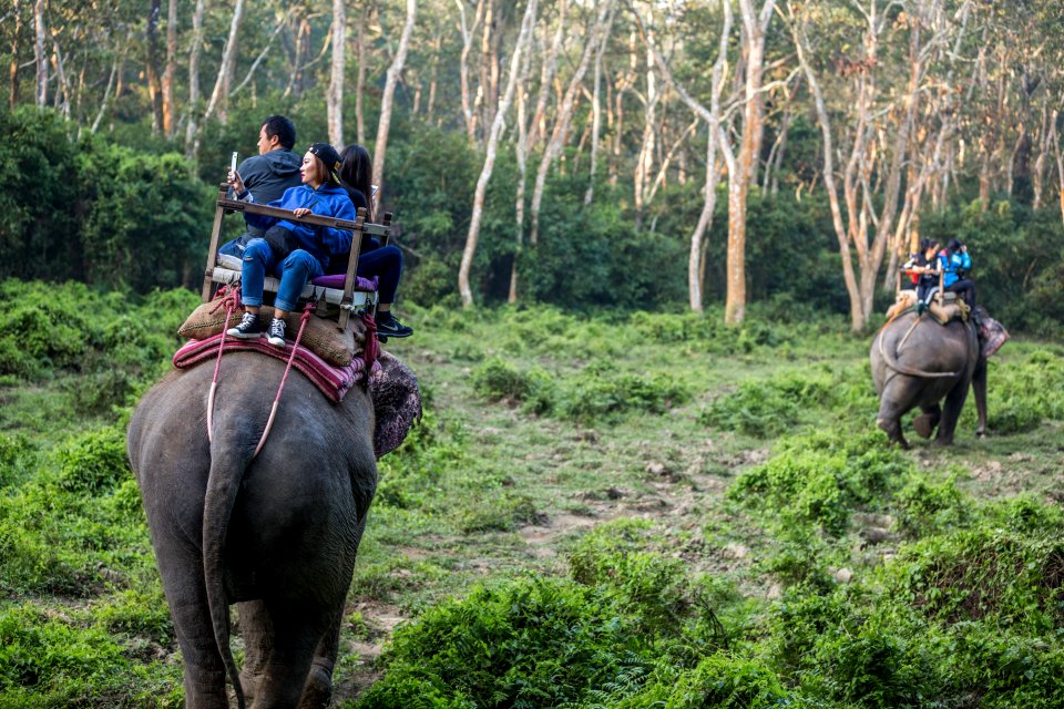USAID Measuring Impact Conservation Enterprise Retrospective (Nepal; National Trust for Nature Conservation) (40255962532)