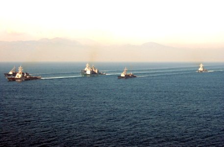 US Navy 041121-N-0000X-001 Ships of the Forward Deployed Naval Forces sail in formation past Japan's Mount Fuji after the conclusion of ANNUALEX