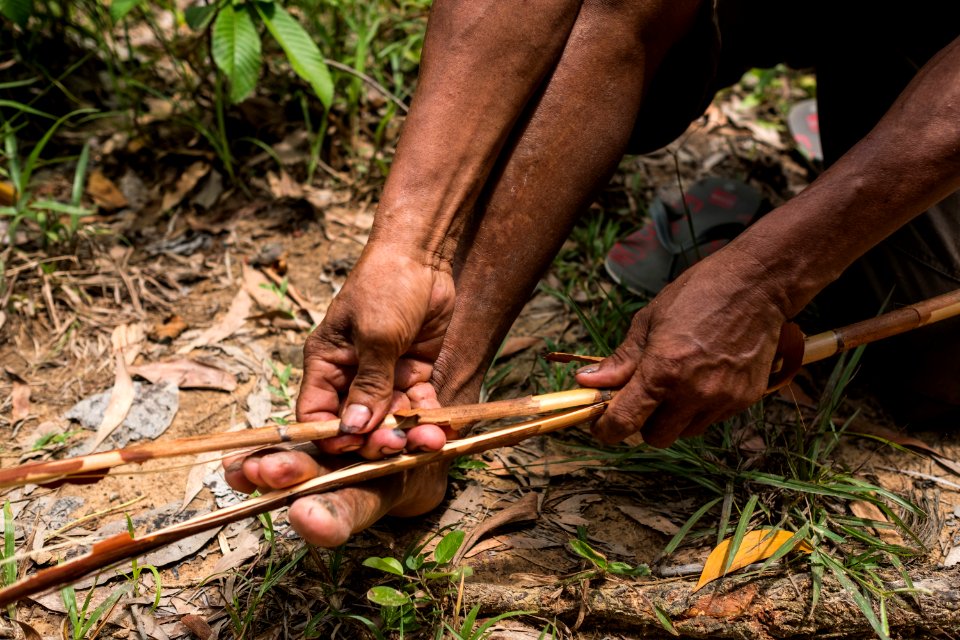 USAID Measuring Impact Conservation Enterprise Retrospective (Philippines; Nagkakaisang Tribu ng Palawan) (40293141991)