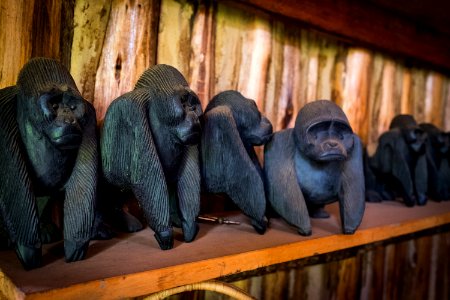 USAID Measuring Impact Conservation Enterprise Retrospective (Uganda; International Gorilla Conservation Program) (38483708350)