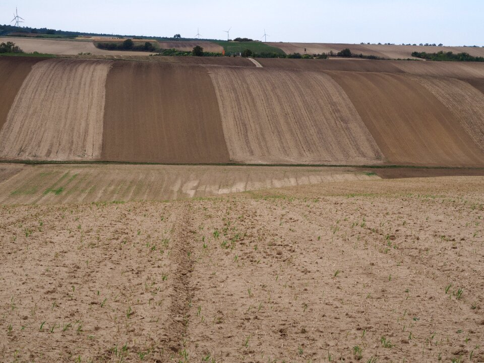 Nature cereals landscape