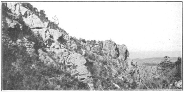 USGS Bulletin787 Plate5 FigureB Cranktown Sandstone